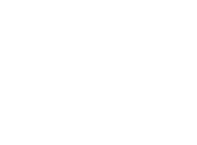 Logo Fabio Accinelli